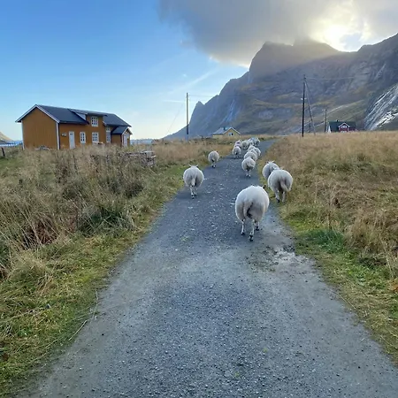 Romantic Gem In Lofoten Holiday home