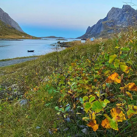 Romantic Gem In Lofoten
